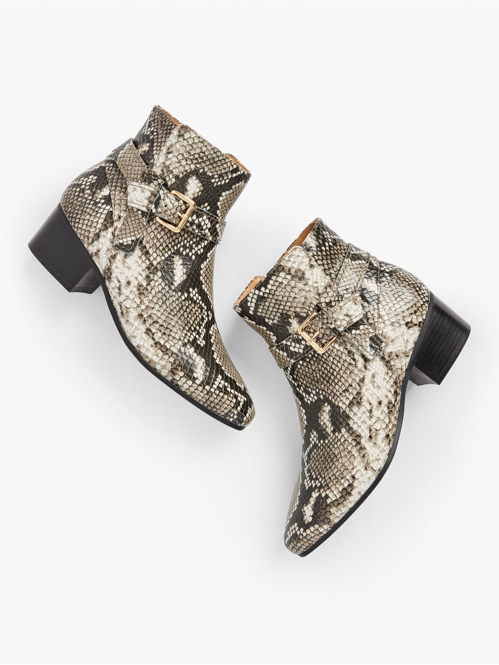 Talbots Snake-Print Ankle Booties with Gold Buckle